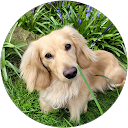 Gemma Whiteley Gemma Whiteley